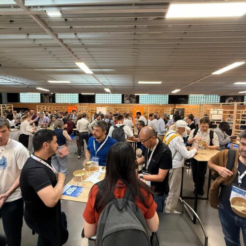 WhatsApp Image 2025-06-24 à 15.15.47_e4550872